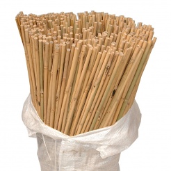 Bamboo canes