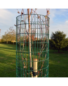 PVC Coated Weld Mesh Tree Guard