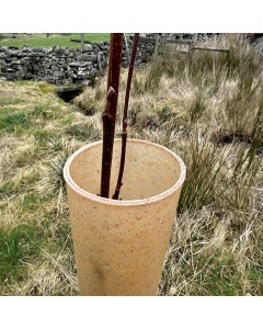 Rainbow Terra Tree Shelters