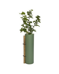 Tubex Shrub Shelters