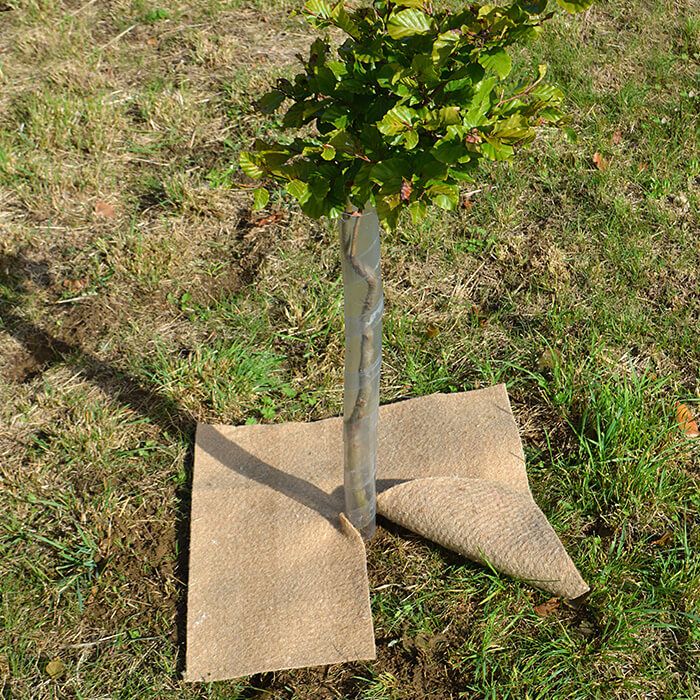 Biodegradable Jute & Hessian Weed Mats British Hardwood Tree Nursery