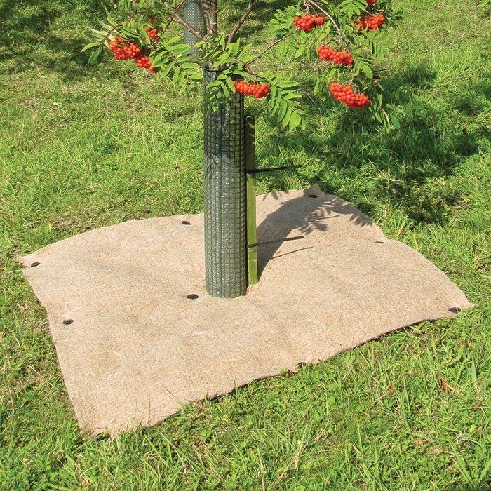 Biogradable Weed Mats Weed Control Matting British Hardwood Tree