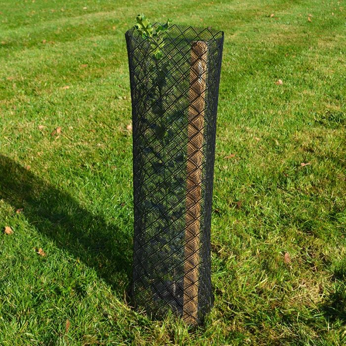 Climatic Mesh Shrub Guard Tree & Shrub Protection British Hardwood