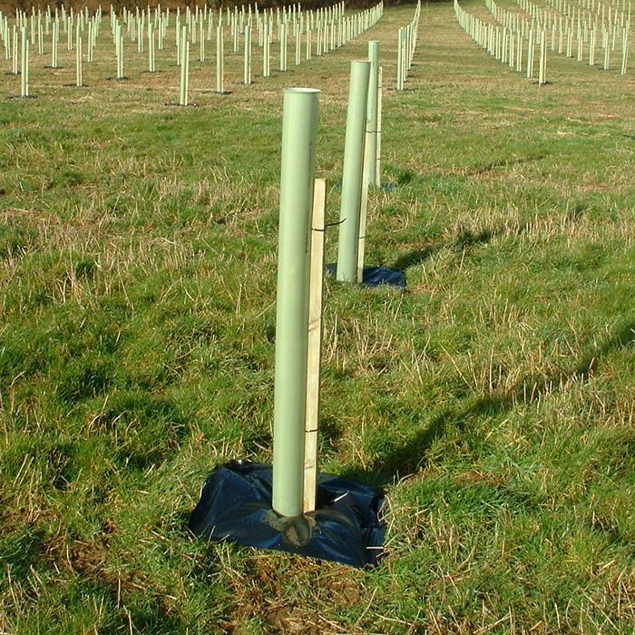 Weed Control Mats Weed Matting British Hardwood Tree Nursery