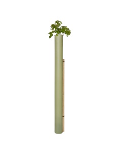 Tubex Tree Shelters
