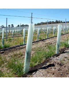Tubex VineWrap Peg-Thru