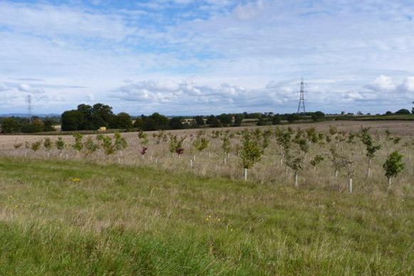 Apply for Countryside Stewardship now | Higher Tier 2020