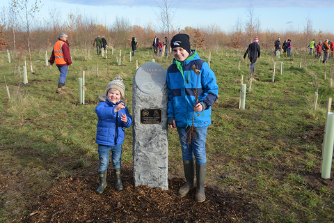 Lincoln Cathedral Copse