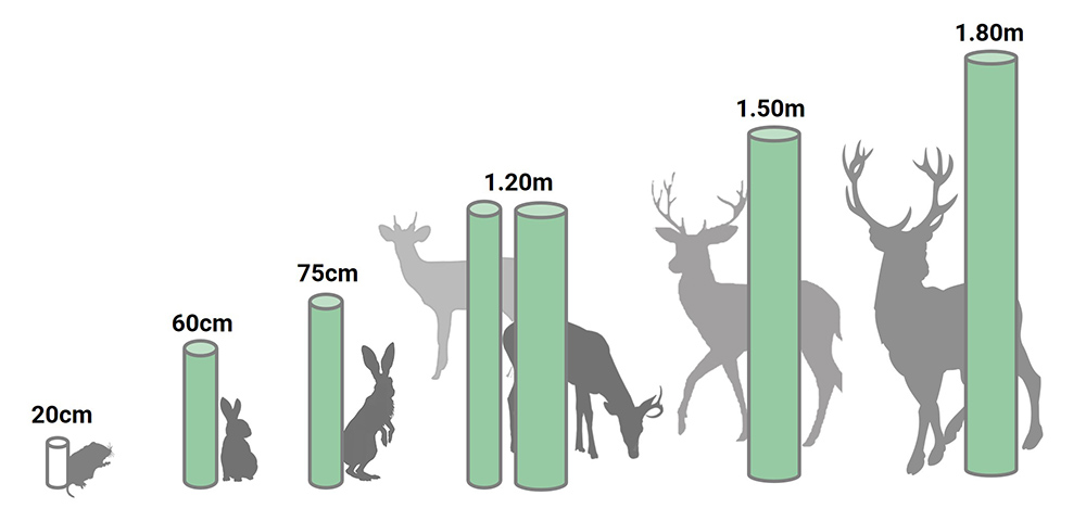 Tubex Tree Shelters & Tubes | Tree & Shrub Protection | British ...