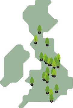Tubex Map