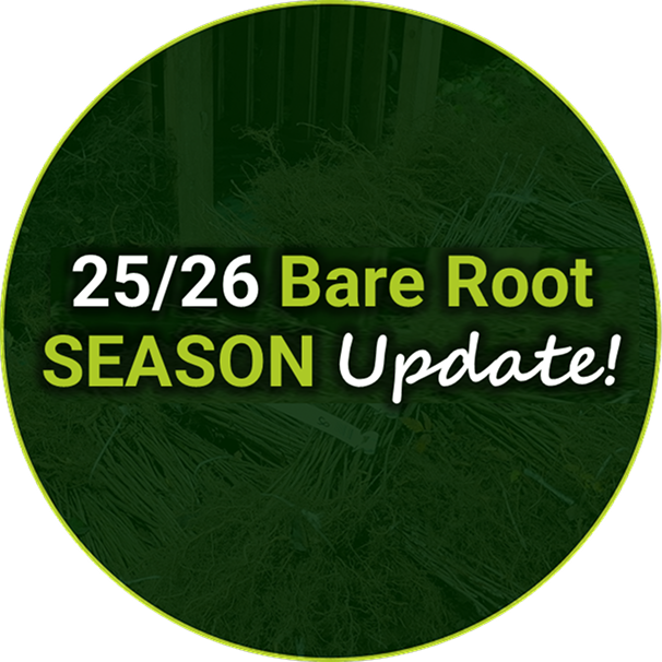 The 25/26 bare root season is a go!
