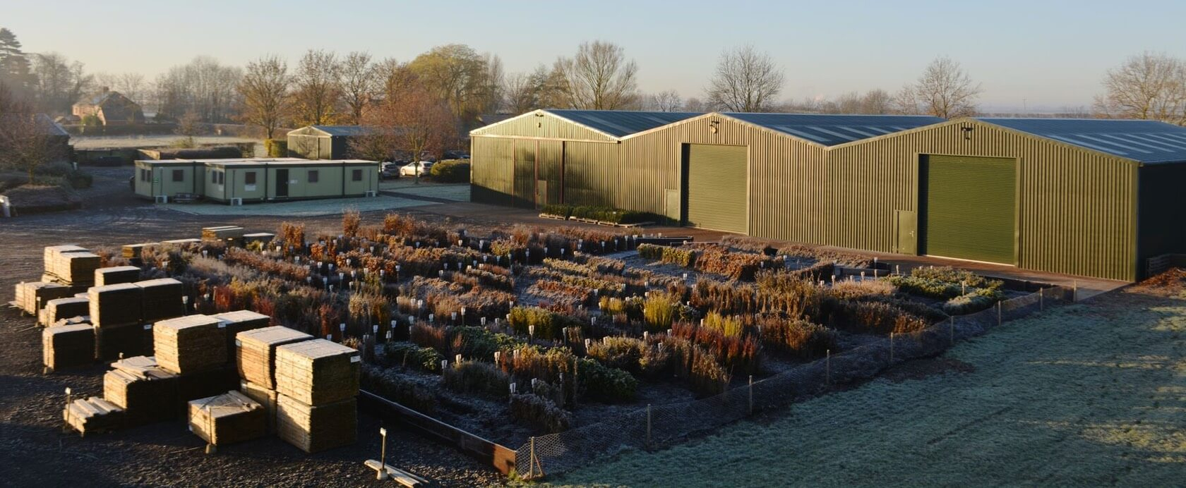 British Hardwood Tree Nursery British Hardwood Tree Nursery