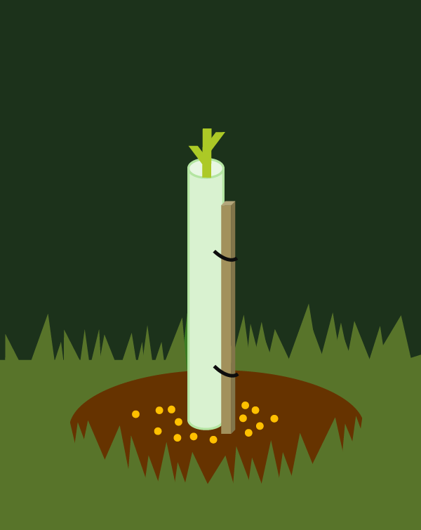 Seedling stresses