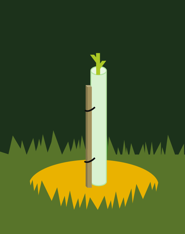 Seedling stresses
